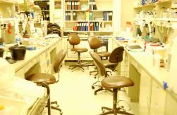 Laboratory